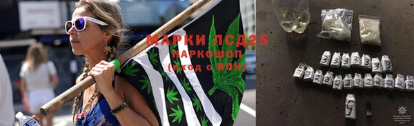 ешки Каменногорск