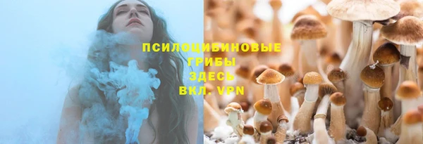 PSILOCYBIN Каменск-Шахтинский