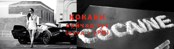 PSILOCYBIN Каменск-Шахтинский
